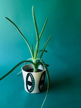 Load image into Gallery viewer, Terra Cotta Planter Pot - Eyes